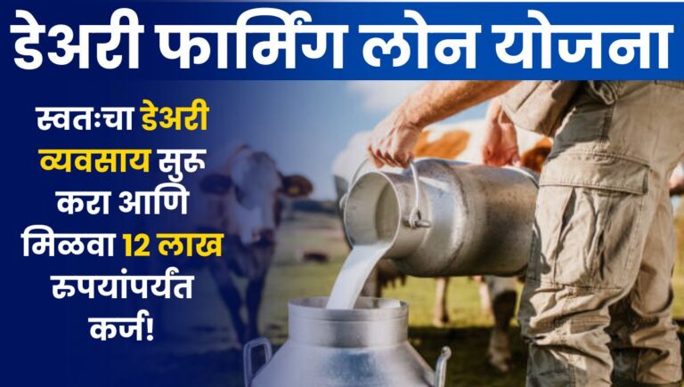 Dairy Farming Loan 2025: स्वतःचा डेअरी व्यवसाय सुरू करा आणि मिळवा 12 लाख रुपयांपर्यंत कर्ज! कसा कराल ऑनलाईन अर्ज?