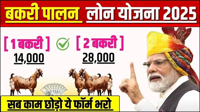 Goat Farming Business Loan